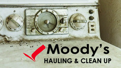 Moody's Junk Hauling - Case Study 2